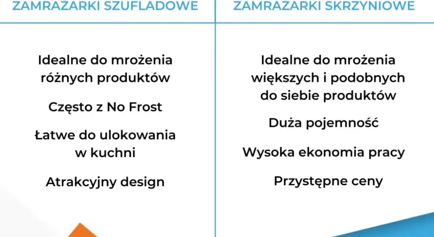 Zamrażarka czy zamrażalka? Dlaczego tylko jedna jest poprawna?